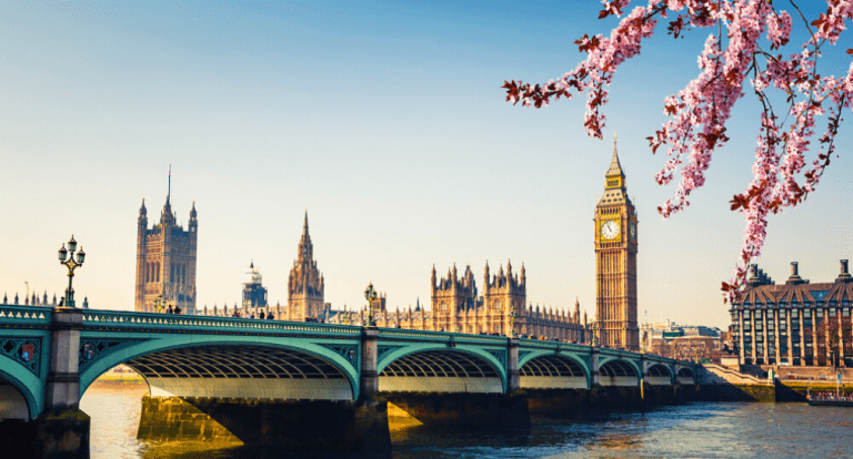 a photo of the houses of parliament in London with a cherry tree to the right of the image hanging over Big Ben