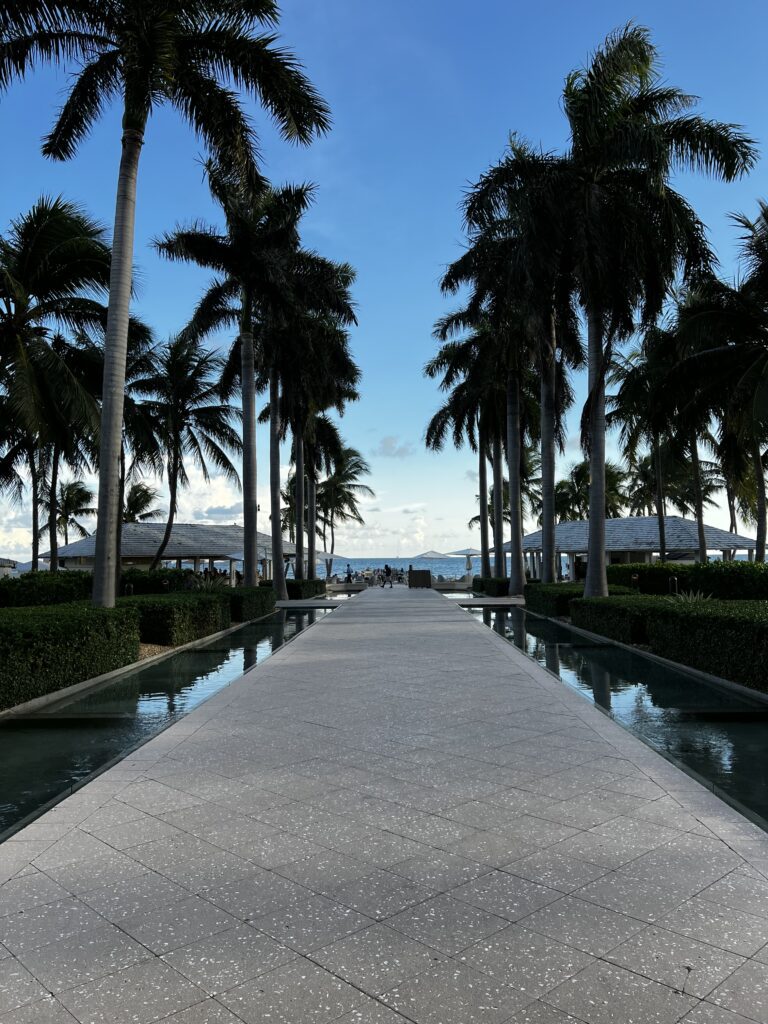 this photo is of a pathway lined with palm trees either side and the ocean and pure blue skies at the end of the pathway